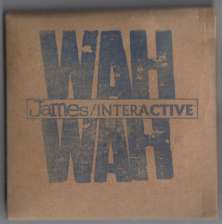 RARE JAMES 3.5 DISK INTERACTIVE US PROMO CARDBOARD CASE