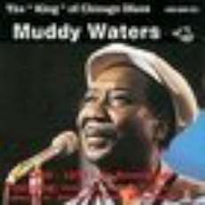 MUDDY WATERS CD LIVE RECORDINGS 65-73 PINETOP PERKINS N