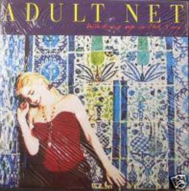 ADULT NET CD S WAKING UP IN THE SUN GERMAN NEW THE FALL