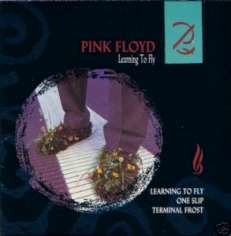 PINK FLOYD CD S LEARNING TO FLY UK IMP 4 TRK PROMO 1987