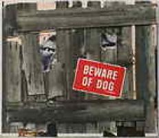 ANGELS FROM ANGEL CITY CDS DOGS ARE TALKING PROMO AC/DC