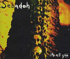 SEBADOH CD S IT'S ALL YOU GERMAN + PIC SLV NEW SUB POP