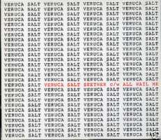 RARE VERUCA SALT CD S SEETHER UK 3 TRK GATEFOLD DIGIPAK
