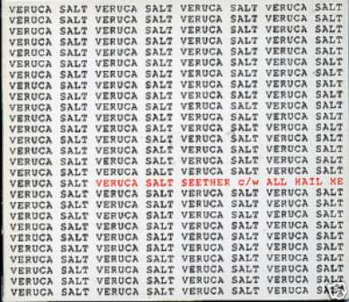 RARE VERUCA SALT CD S SEETHER UK 3 TRK GATEFOLD DIGIPAK