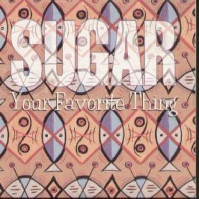 SUGAR CD S YOUR FAVORITE THING PIC DISC US 2 TRK PROMO